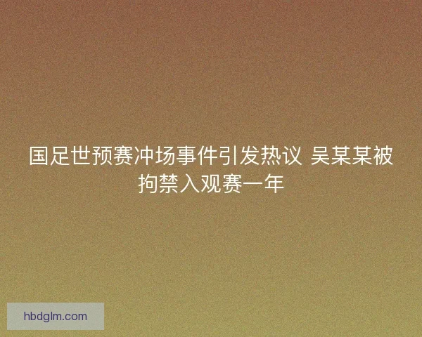 国足世预赛冲场事件引发热议 吴某某被拘禁入观赛一年